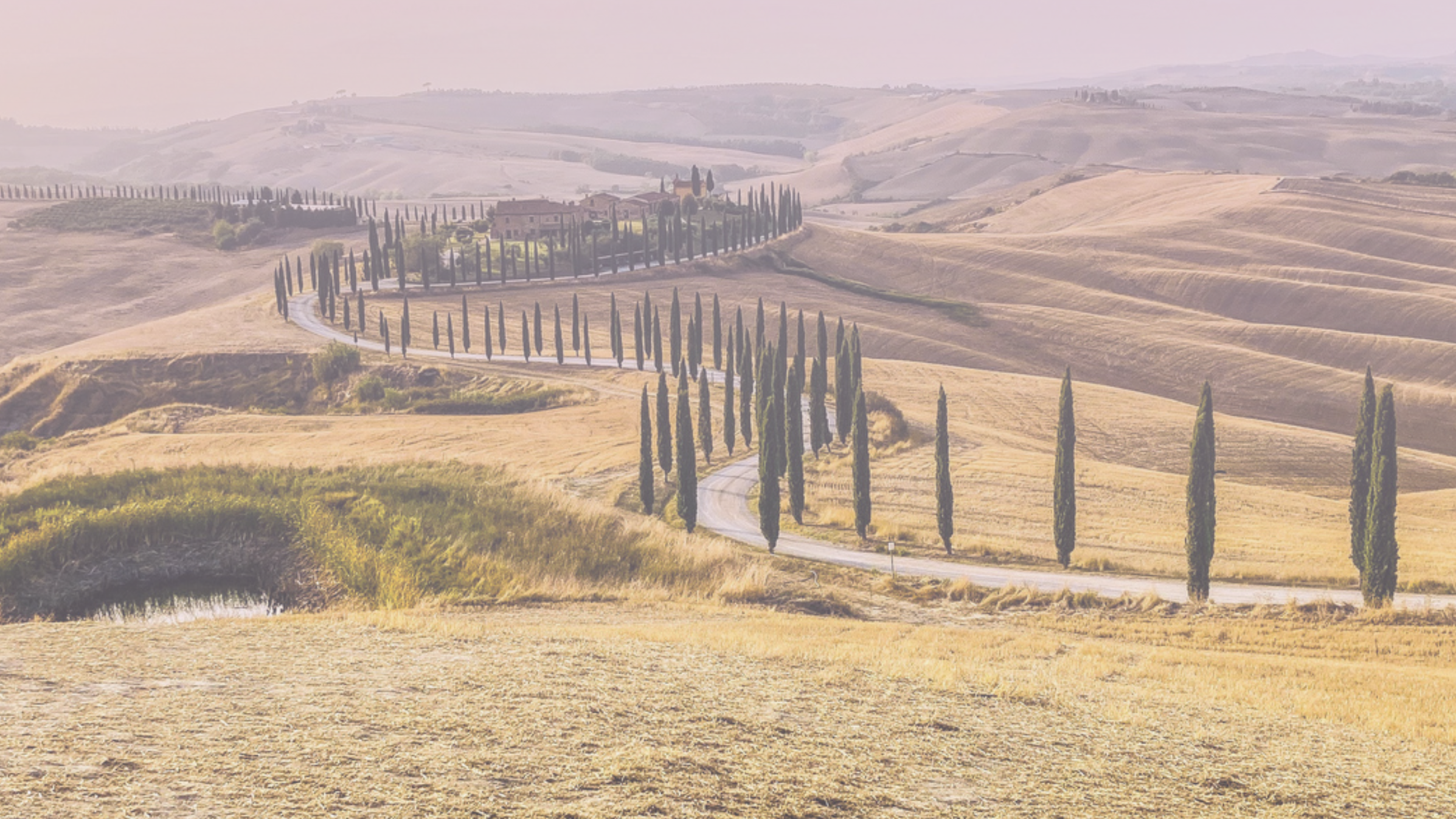 Image by Elia Pinzin on Pexels
